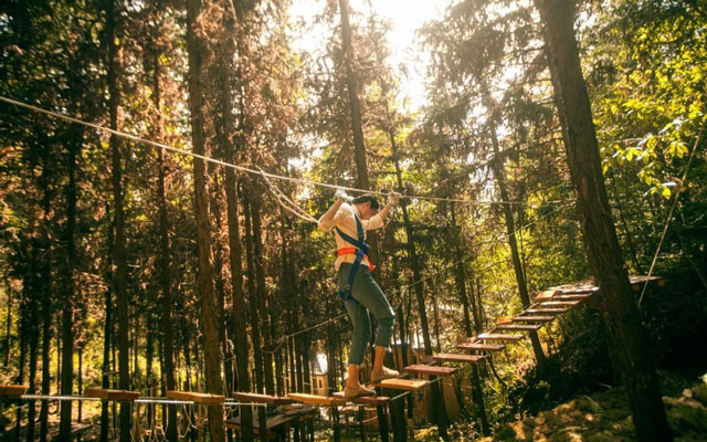 Successful cases of jungle exploration