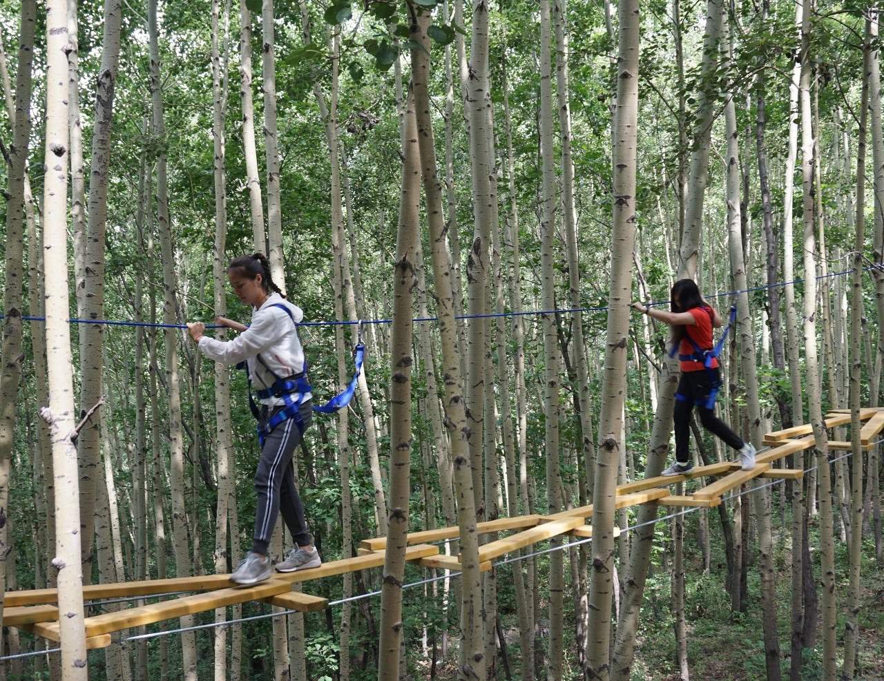 Quzhou Jungle Crossing Construction Case