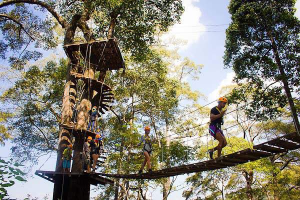 Jungle Crossing Manufacturer